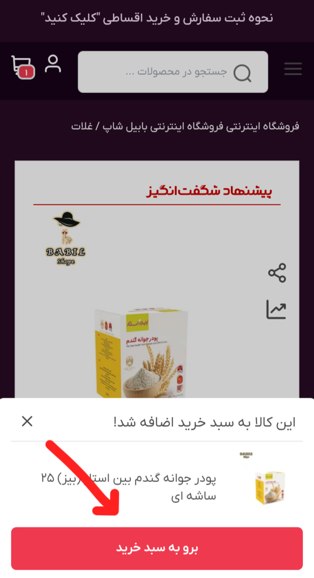 نحوه خرید اقساطی از فروشگاه اینترنتی بابیلشاپ